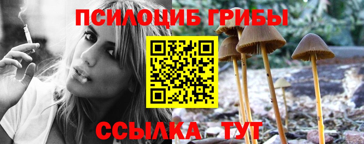Псилоцибиновые грибы мухоморы Удомля