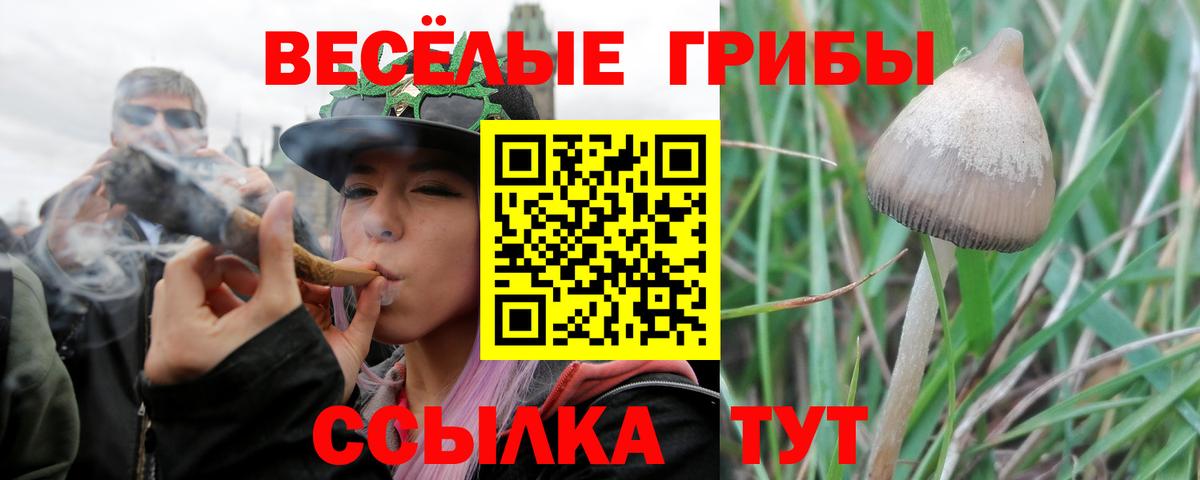 Псилоцибиновые грибы GOLDEN TEACHER  Удомля 