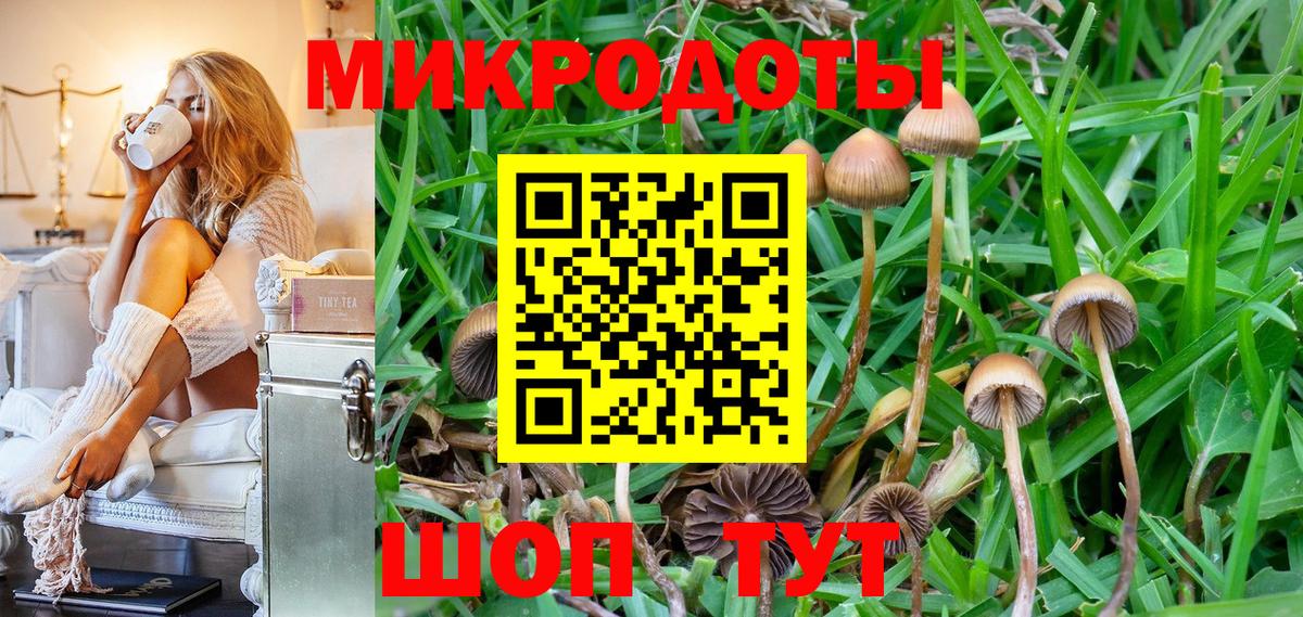 Псилоцибиновые грибы MAGIC MUSHROOMS Удомля